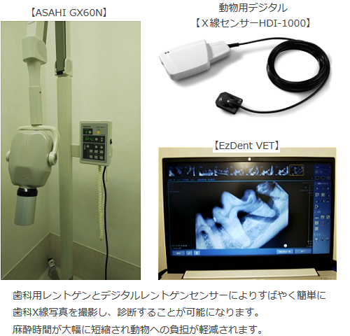 動物歯科用レントゲン、動物用デジタルX線センサー、GX60N、HDI-1000、EzDent VET